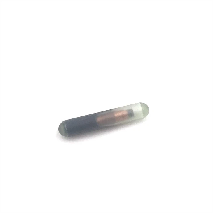 RFID micro chip5(001)